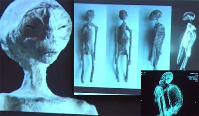 Qual a origem das múmias apresentadas no Congresso mexicano