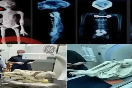 Algumas pesquisas científicas independentes já foram realizadas nas Múmias de Nazca, corroborando uma possível veracidade. Embora controversas, desta vez, uma nova pesquisa revisada por pares dá mais ênfase à autenticidade dessas múmias.