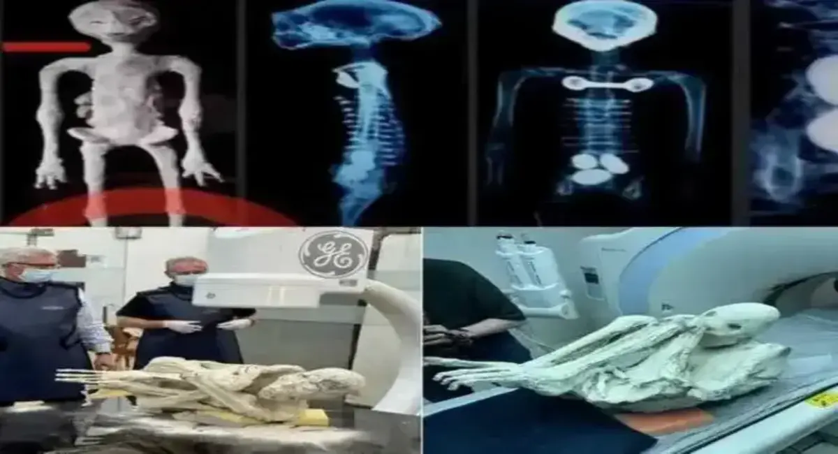 Algumas pesquisas científicas independentes já foram realizadas nas Múmias de Nazca, corroborando uma possível veracidade. Embora controversas, desta vez, uma nova pesquisa revisada por pares dá mais ênfase à autenticidade dessas múmias.