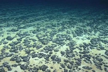 Uma pesquisa pioneira realizada por cientistas da Universidade de Boston sugere que um tipo específico de rocha do fundo do mar é capaz de gerar oxigênio. A descoberta é uma surpresa, considerando que o oxigênio é tipicamente produzido por plantas e organismos com a ajuda do sol. O que levanta questões sobre a vida extraterrestre.