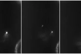 O incidente é amplamente conhecido pela comunidade UFO e, segundo denunciantes de várias épocas, sempre houve um vídeo mostrando um OVNI desativando uma ogiva nuclear de um míssil em 1964.