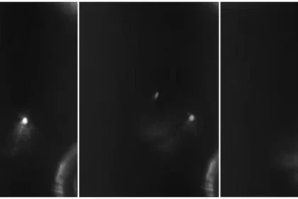 O incidente é amplamente conhecido pela comunidade UFO e, segundo denunciantes de várias épocas, sempre houve um vídeo mostrando um OVNI desativando uma ogiva nuclear de um míssil em 1964.