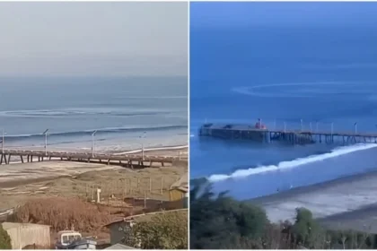 Uma espécie de "círculo" aquático se formou próximo à costa da ilha. As filmagens estão chamando a atenção e gerando debate.