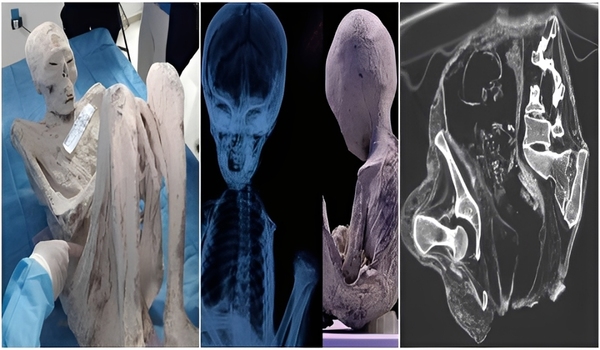 This hypothesis was suggested by podcaster Jesse Michels, who today shared his investigations in a remarkable documentary. Genetic tests reveal clues about the origin of the mysterious mummies.