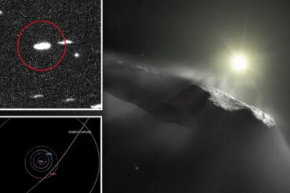 Data published today indicate that the mysterious object shows no visible tail or the typical gas spectral signatures expected of a comet.