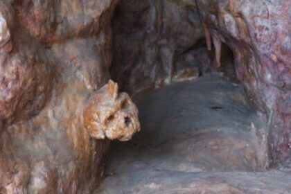 Covered in the Petralona Cave, about 35 km southeast of Thessaloniki, Greece, this ancient skull remains an enduring mystery.