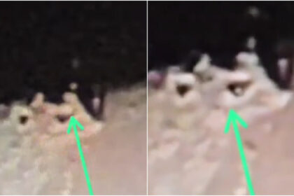 A Brazilian amateur astronomer recorded an impressive video of an unidentified object emerging from a crater on the Moon.