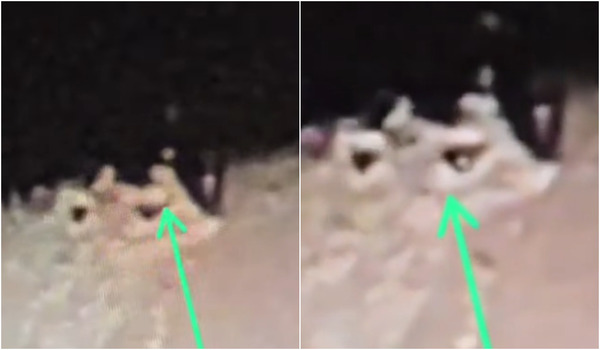 A Brazilian amateur astronomer recorded an impressive video of an unidentified object emerging from a crater on the Moon.