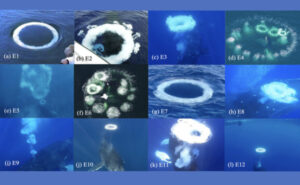 For the first time, humpback whales have been documented emitting “rings of water bubbles” in a possible attempt to communicate with humans. The discovery provides new insights into “non-human intelligence” and may help shape strategies in the search for life beyond Earth.