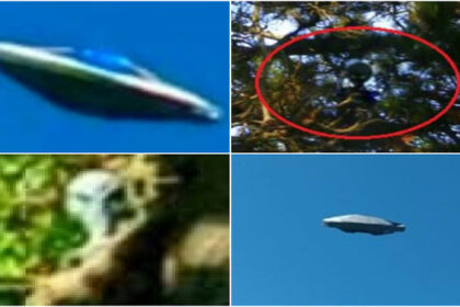 Em Buenos Aires, Argentina — mais especificamente em Mar del Plata — vive um aposentado pouco conhecido, mas que mantém uma grande coleção de imagens de supostas naves e entidades não humanas.