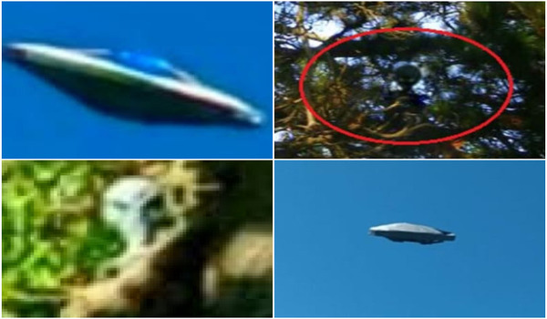 Em Buenos Aires, Argentina — mais especificamente em Mar del Plata — vive um aposentado pouco conhecido, mas que mantém uma grande coleção de imagens de supostas naves e entidades não humanas.