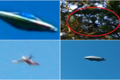 In Buenos Aires, Argentina — more specifically in Mar del Plata — lives a little-known retiree who maintains a large collection of images depicting alleged craft and non-human entities.