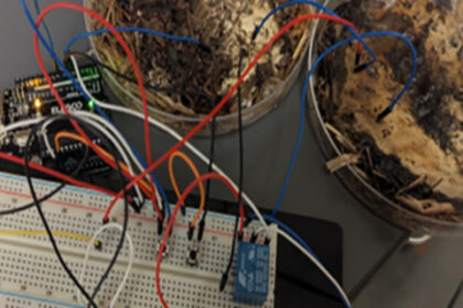 What if living organisms could perform some of the tasks handled by silicon chips? New research suggests fungal systems can exhibit memory-like electrical behavior, opening the door to unconventional, low-energy computing architectures.