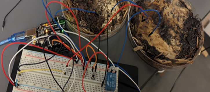 What if living organisms could perform some of the tasks handled by silicon chips? New research suggests fungal systems can exhibit memory-like electrical behavior, opening the door to unconventional, low-energy computing architectures.