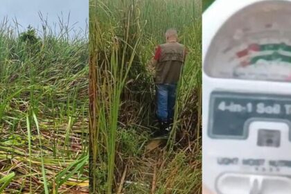 Casal relatou som semelhante ao de turbina e luzes durante a madrugada. Níveis anormais de radiação e alteração do pH da água no local do pouso foram registrados.