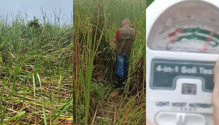 Casal relatou som semelhante ao de turbina e luzes durante a madrugada. Níveis anormais de radiação e alteração do pH da água no local do pouso foram registrados.