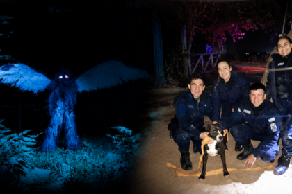 Occurring in Argentina's San Juan Province, the case involves the alleged attack of a large winged creature that prompted police intervention to rescue the animal.