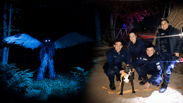 Occurring in Argentina's San Juan Province, the case involves the alleged attack of a large winged creature that prompted police intervention to rescue the animal.