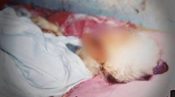 Em 1999, em Santa Isabel, São Paulo, uma mulher que acabara de morrer teve, no espaço de apenas uma hora, o rosto completamente “arrancado” de forma misteriosa. O episódio ocorreu em meio a relatos de luzes anômalas e do comportamento incomum de animais na região, levantando a hipótese de que algo ainda mais sinistro possa ter ocorrido.