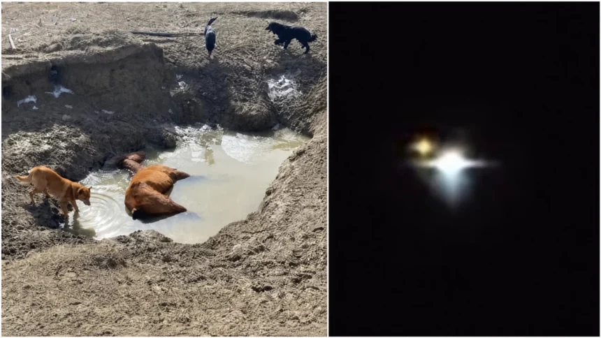 As características das mutilações são semelhantes às observadas em outros casos registrados ao redor do mundo. Partes dos animais pareciam ter sido removidas com precisão, deixando feridas sem sangue e marcas de queimadura. O proprietário relatou que alguns cortes pareciam ter sido feitos com um laser.